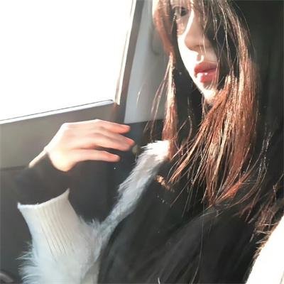 十二猴子 海报