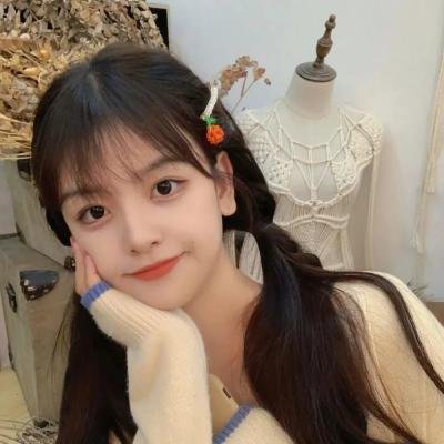 执法女先锋 海报